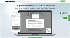Desktop Screenshot of bugmuncher.com